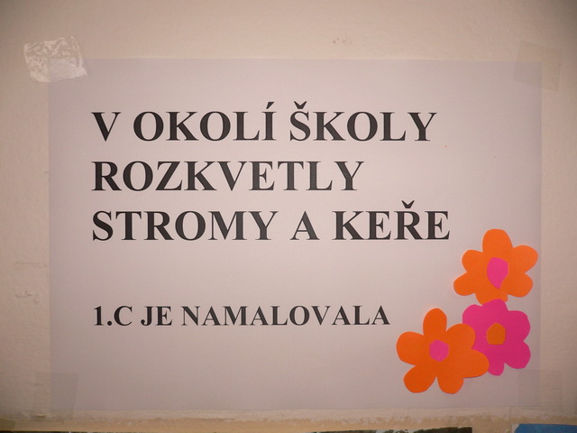 P1050009_zmena velikosti.JPG