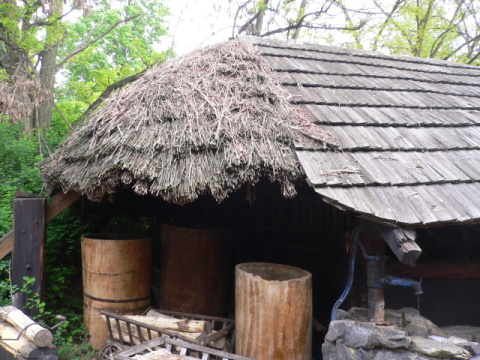 P1060484.JPG